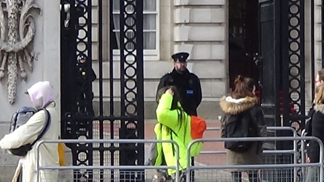 Buckingham Palace crop